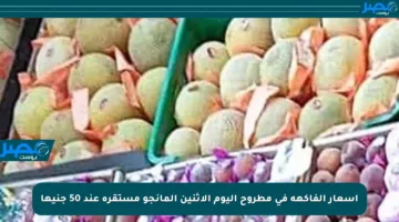 أسعار الفاكهة في مطروح اليوم الاثنين المانجو مستقرة عند 50 جنيها